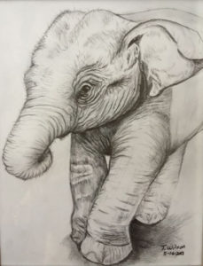 How To Draw Animals? - 60 Easy Pencil Drawings Of Animals