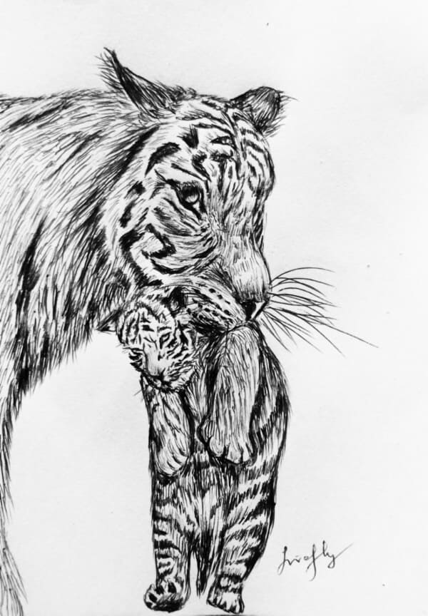 How To Draw Animals? - 60 Easy Pencil Drawings Of Animals