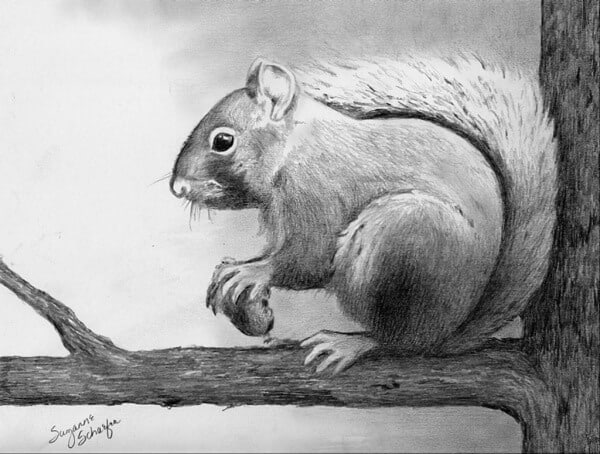 How To Draw Animals? - 60 Easy Pencil Drawings Of Animals