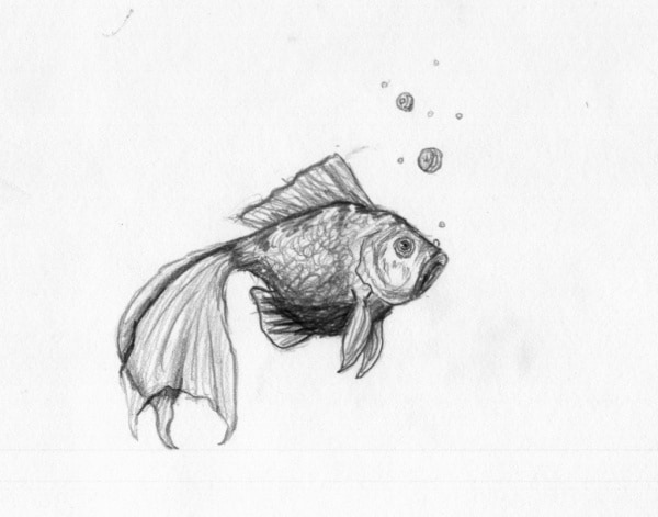 Easy Pencil Drawings Of Animals
