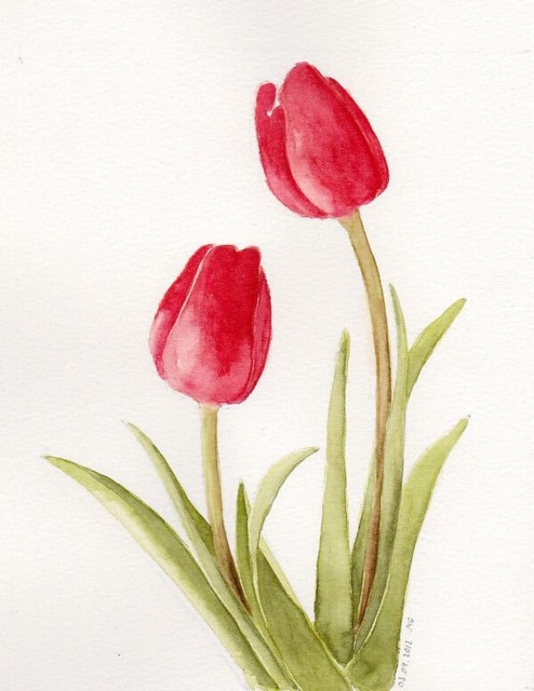 45 Beautiful Flower Drawings and Realistic Color Pencil Drawings