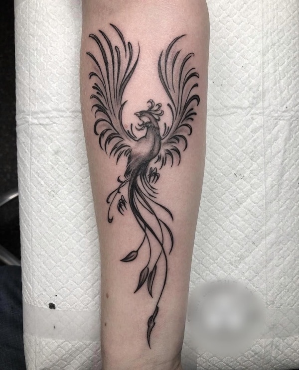 Cool Phoenix Tattoo Designs