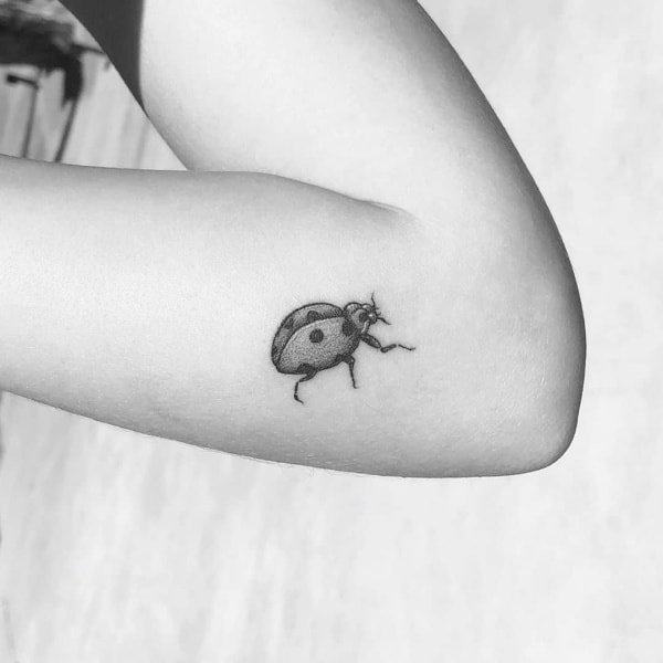 Cute Ladybug Tattoo Designs And Ideas