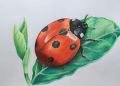 Easy Things To Paint For Beginners