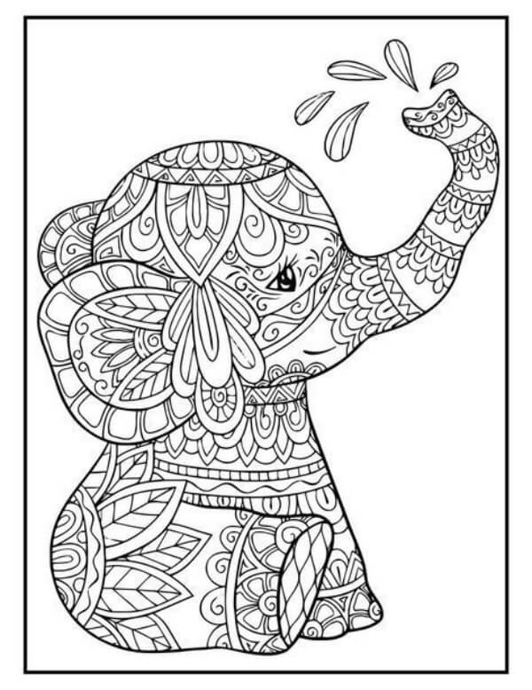 Elephant Mandala Drawing Ideas