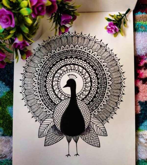 Peacock Mandala Drawing ideas