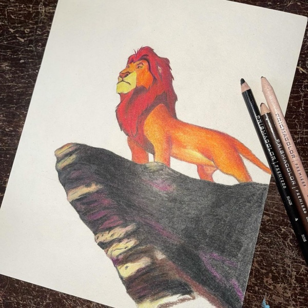 Drawing Simba Lion King