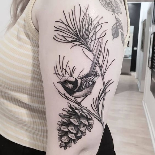 Pine Cone And Bird Tattoo