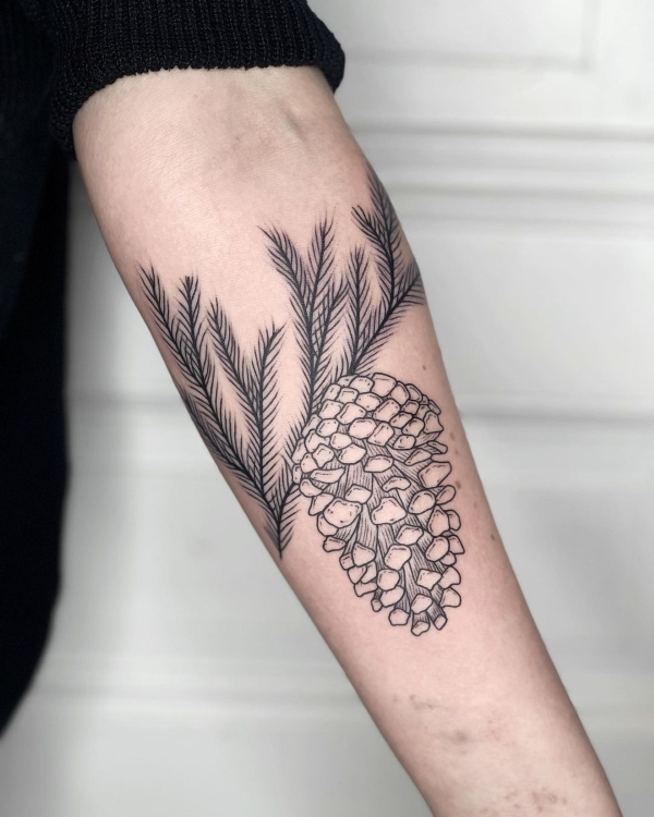 Pine Cone And Tree Branch Tattoo