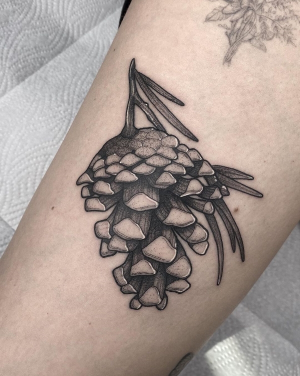Realistic Pine Cone Tattoo