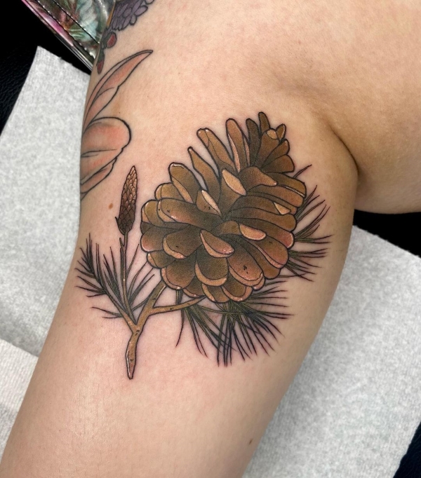Neo Traditional Pine Cone Tattoo