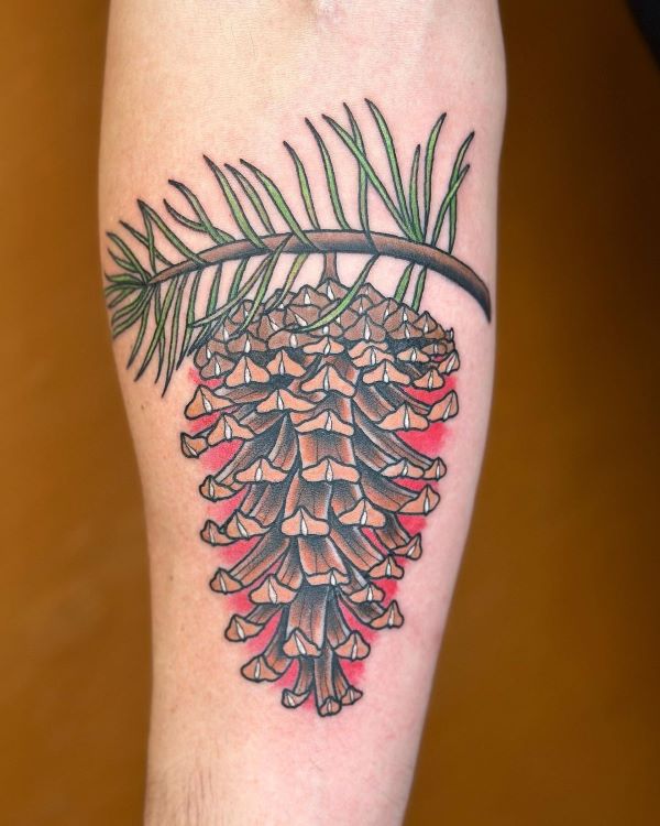 Neo Traditional Pine Cone Tattoo