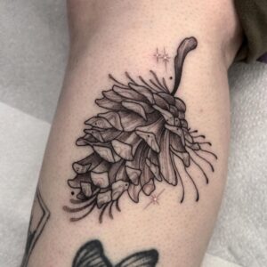 60 Pine Cone Tattoo Designs for the Adventurous