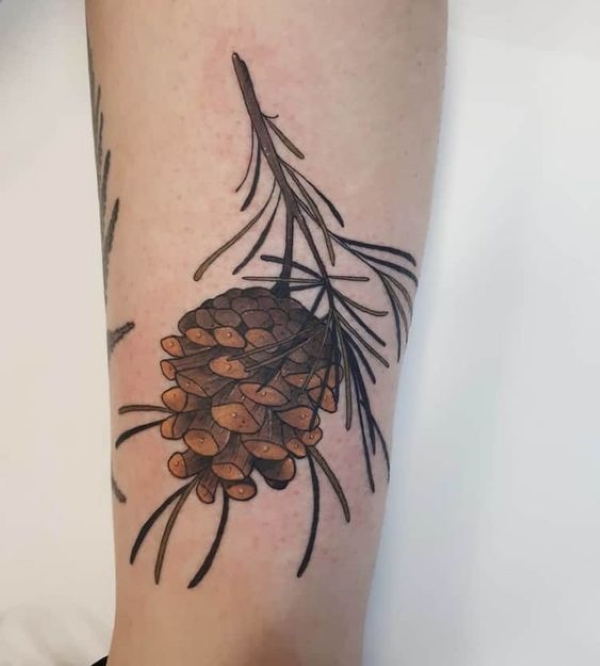 Watercolor Pine Cone Tattoo
