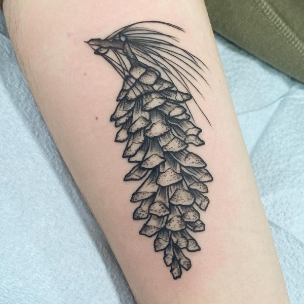 Pine Cone Tattoo Designs