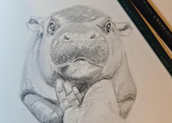 Artworks Inspired by Moo Deng the Hippor Featured