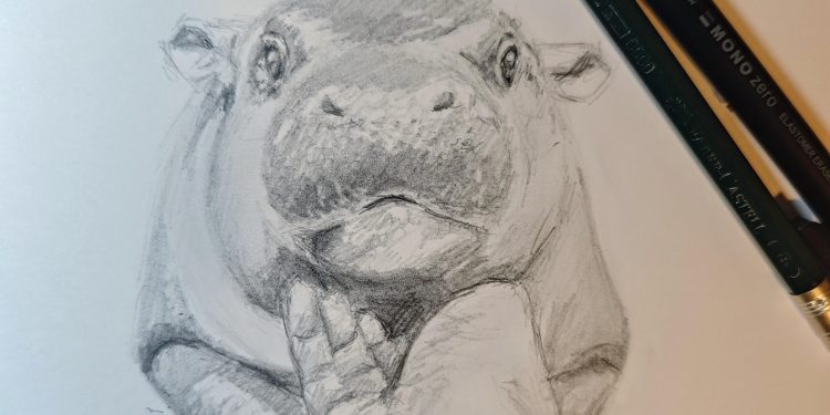 Artworks Inspired by Moo Deng the Hippor Featured