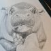 Artworks Inspired by Moo Deng the Hippor Featured