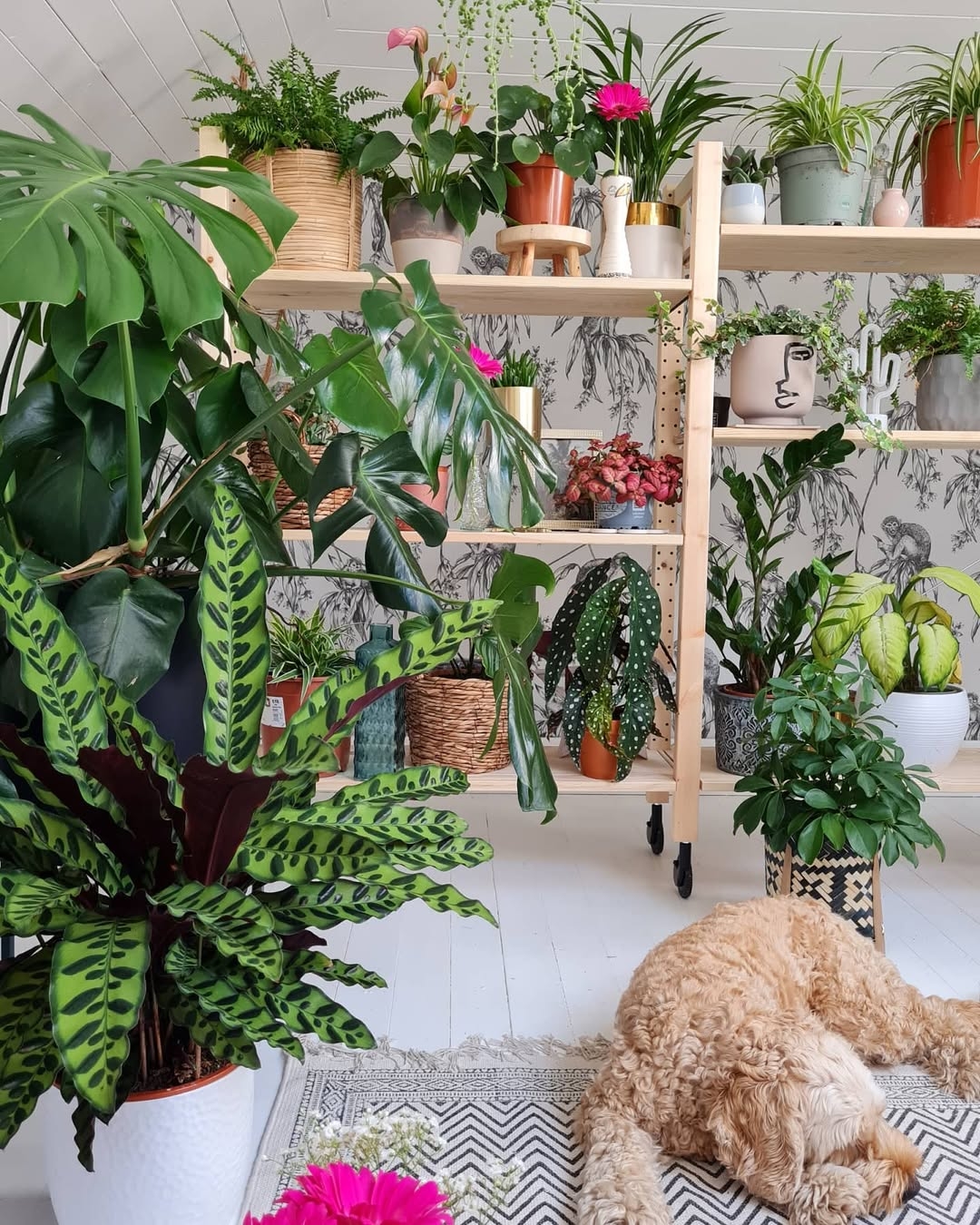 DIY Plant Stand Ideas