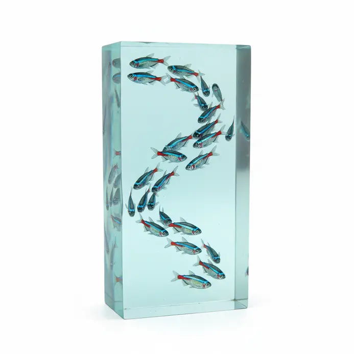 Multiple painted fish arranged in a schooling composition across resin aquarium layers