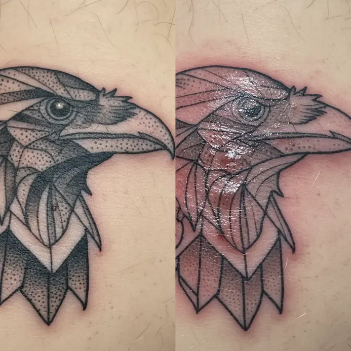 Two skin examples contrast a crisp, fully healed tattoo section with a blurred, overworked area from sessions too close together.
