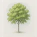 How to Draw a Tree