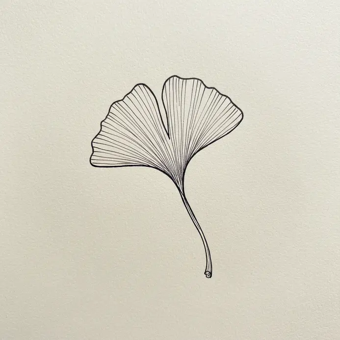 A single ginkgo leaf drawn with a continuous, unbroken contour line.