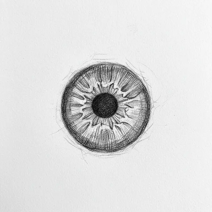 A close-up contour drawing of an eyeball, focusing on the detailed lines and patterns of the iris.