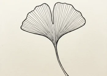Aesthetic Line Art Drawing Ideas