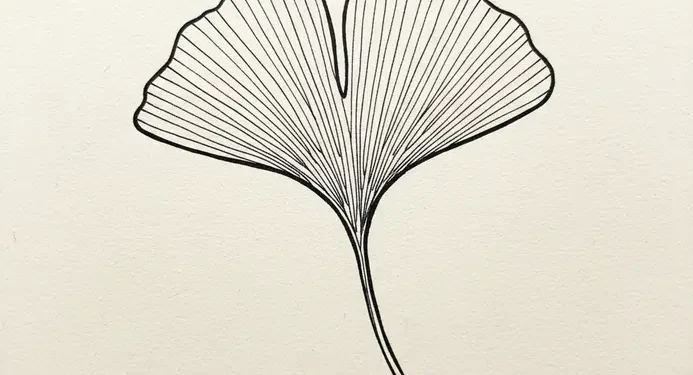 Aesthetic Line Art Drawing Ideas