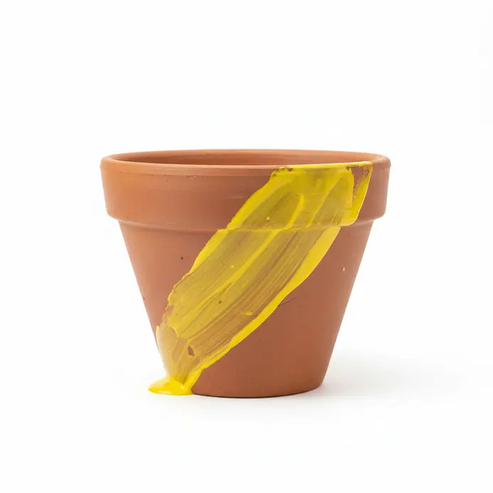 A dynamic splash of bright red, blue, or yellow paint accents a neutral terracotta pot.