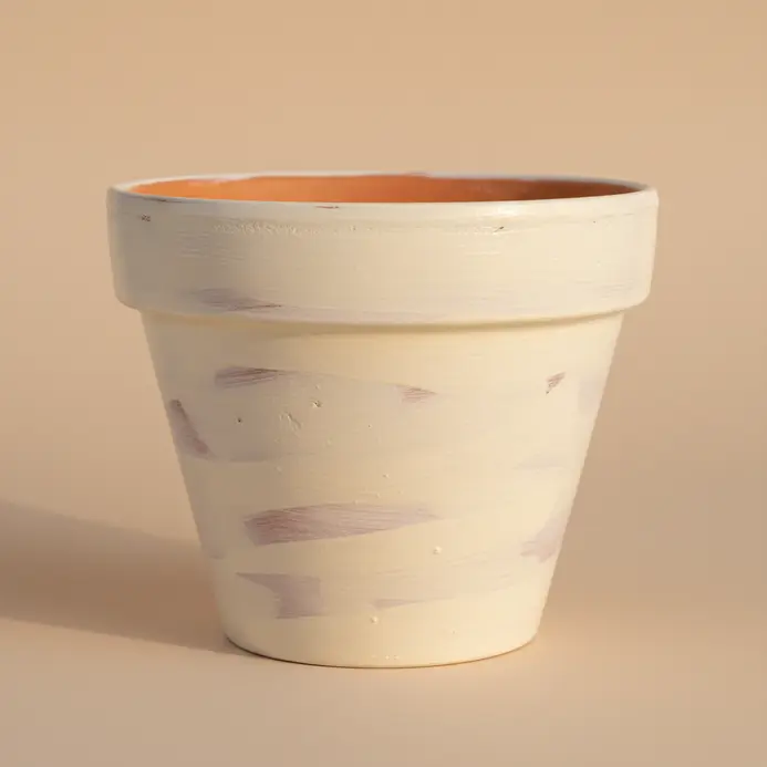 A smooth, solid coat of cream paint gives a terracotta pot the look of fine ceramic.