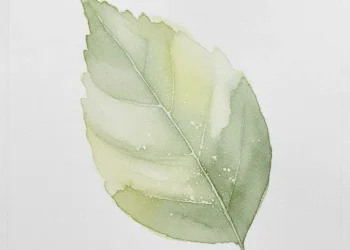 Beginners Guide To Painting With Watercolor