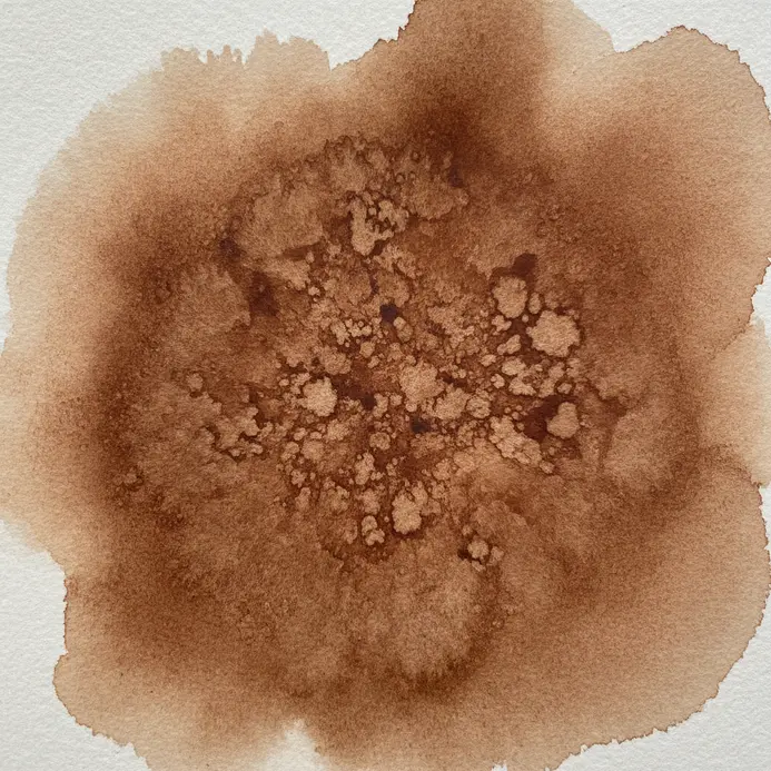 Rich burnt sienna watercolor puddles with granules of pigment settled in the center.