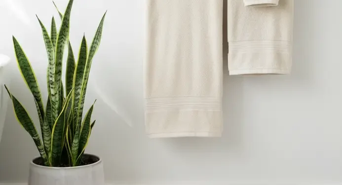 Easy Bathroom Decorating Ideas
