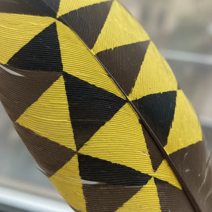 A dark feather is covered in a tessellating pattern of vibrant yellow hexagons.