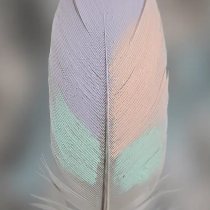 A gray feather decorated with simple silhouettes of lavender, mint, and peach colored flowers.