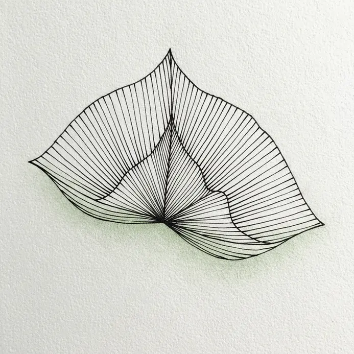 Fine lines radiating from a central vein to create texture on a lotus leaf.