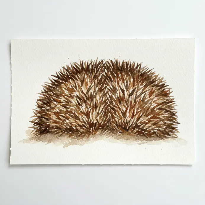 The brown back of a hedgehog with spiky texture created using dry brush watercolor strokes.