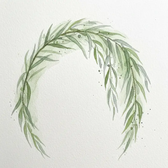 A long, arching branch with slender willow leaves painted with flowing watercolor lines.