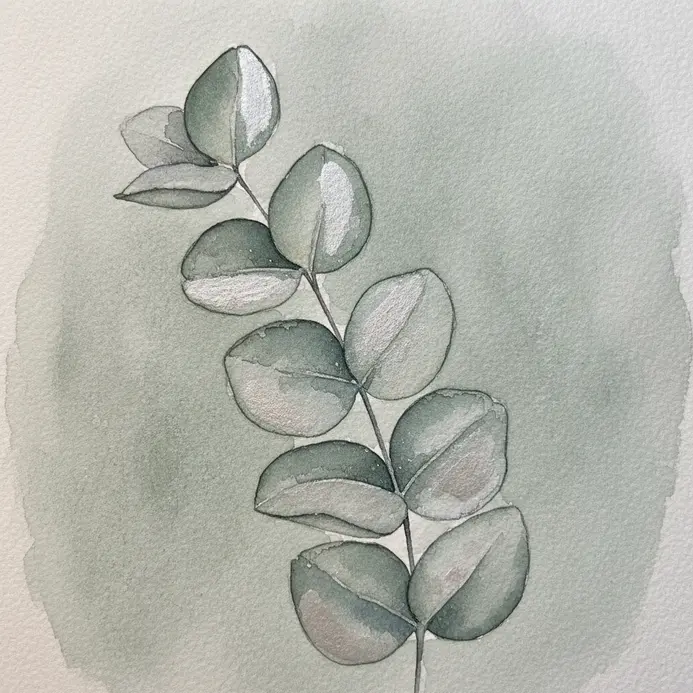 A slender eucalyptus stem with oval, silvery-green leaves painted in delicate watercolor washes.