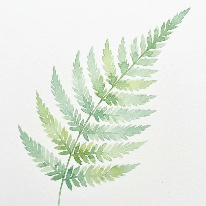 A feathery, light green asparagus fern leaf stalk drawn with fine, delicate watercolor lines.