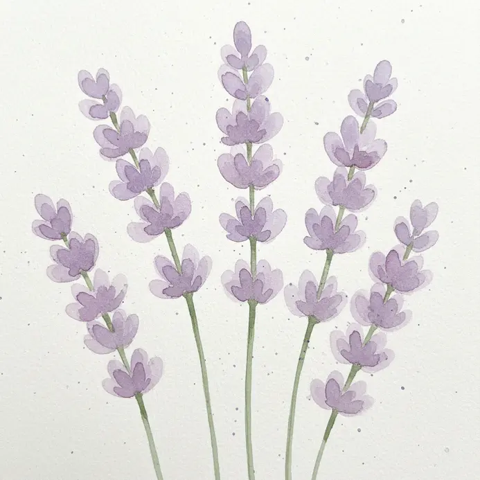 A small bunch of pale purple lavender flowers on a green stem, painted with soft, blended watercolor.
