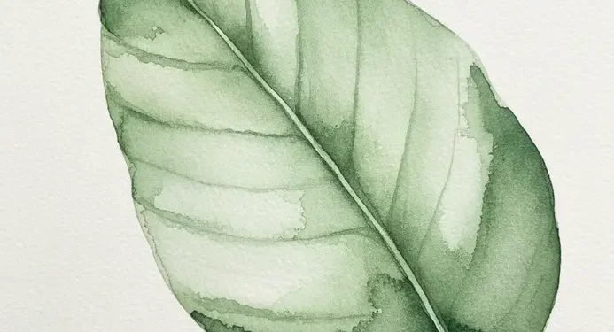 Easy Watercolor Botanical Painting Ideas
