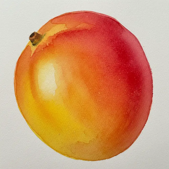 A tropical mango painted in watercolor, showing a smooth blend of yellow, orange, and red across its form.