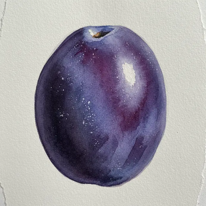 A deep purple plum painted in watercolor, with a bright white highlight left on its surface to suggest a waxy bloom.
