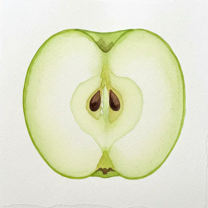 A side-view slice of a green apple painted in watercolor, showing the core and simple curved shape.