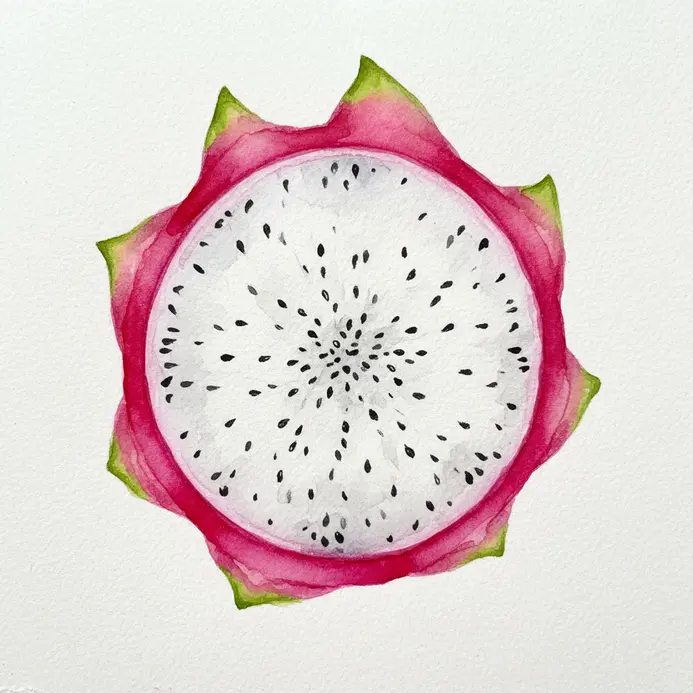 A dragon fruit sliced open, showing its white flesh with black seeds and vibrant pink skin, painted in watercolor.
