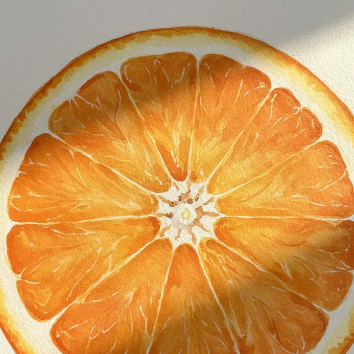 A cross-section of an orange in watercolor, showing translucent pulp segments and a central white pith.