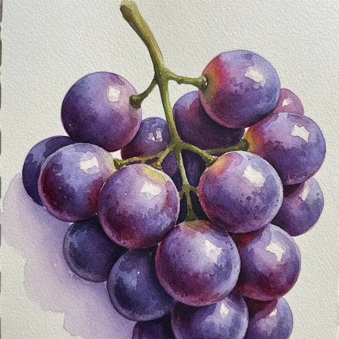 A cluster of purple grapes painted in watercolor, focusing on overlapping circular forms and a shared stem.